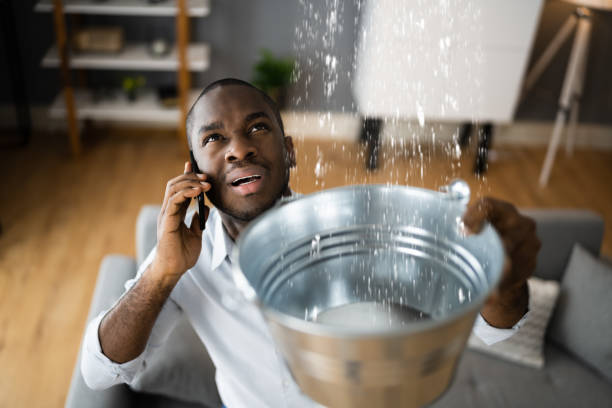 Best Water damage contractors near me  in Thermalito, CA
