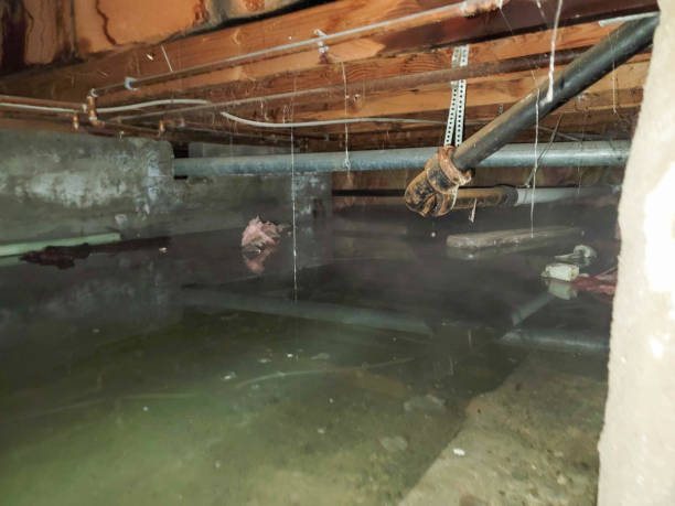 Best Flood restoration services  in Thermalito, CA
