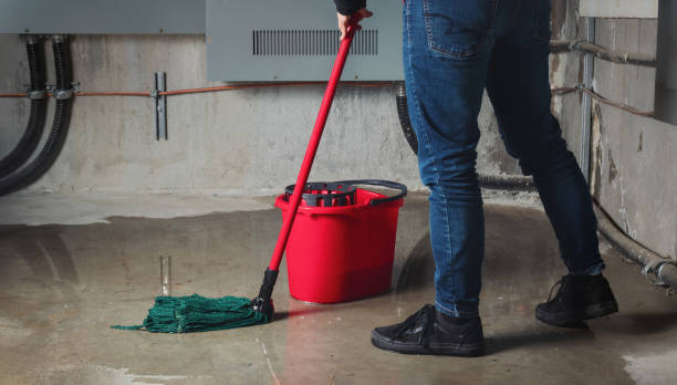 Best Professional water damage repair  in Thermalito, CA