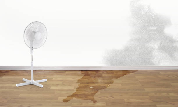Best Water damage restoration near me  in Thermalito, CA