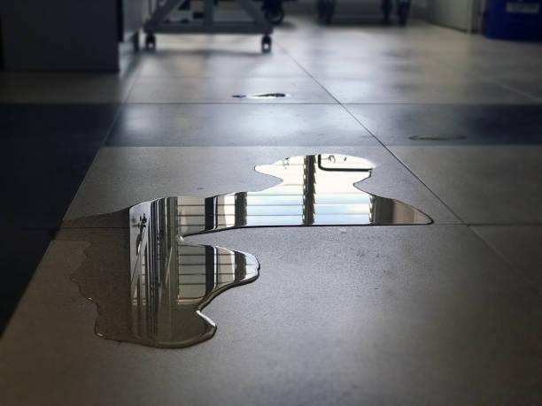 Best 24/7 water damage repair  in Thermalito, CA