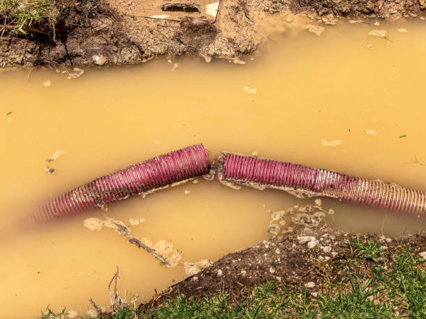 Best Emergency water damage restoration  in Thermalito, CA