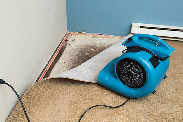 Best Fire Damage Restoration  in Thermalito, CA